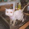 71